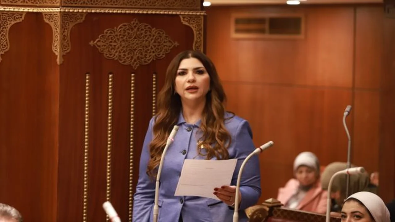 أمين سر تعليم الشيوخ: مصر نجحت في إعادة التوازن الإقليمي عبر الدبلوماسية الهادئة